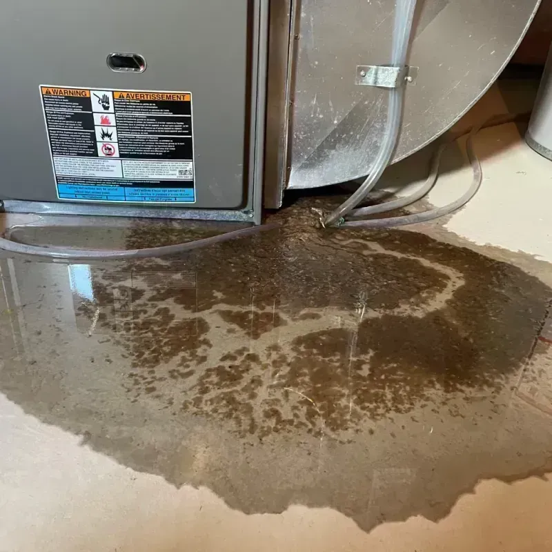 Appliance Leak Cleanup in Woodbridge, NJ